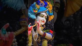 Krishna song video love bhakti krishnabhajan bhajan shorts youtubeshorts [upl. by Rozamond691]