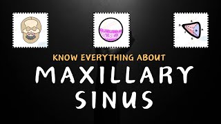 Space inside your Maxilla Know everything about Maxillary Sinus [upl. by Idnahk]