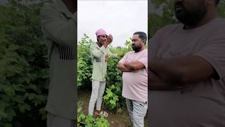 मारी मेहनत नु कपास 😂👍 पिन्जु मावी विपुल भाई कॉमेडी pinjumavi vlog aadivasicomedy minivlog funny [upl. by Eatnhoj138]