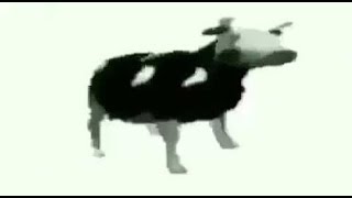 Polish cow lyrics [upl. by Mighell]