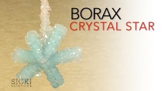 Borax Crystal Star  Sick Science 066 [upl. by Arnaldo]