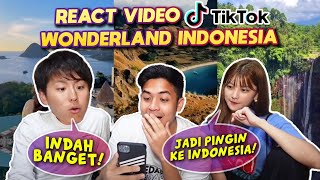 REACT WONDERLAND INDONESIA BARENG HITOMI amp TOMO TIKTOK VERSION [upl. by Nylevol]