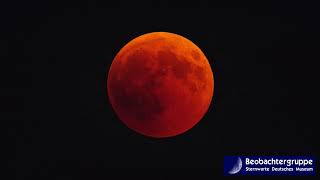 Blutmond  Mondfinsternis  Jahrhundertmondfinsternis über München [upl. by Cohbath]