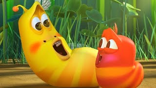 LARVA  LARVA BEBÉS  2018 Película Completa  Dibujos animados para niños  WildBrain [upl. by Uke]