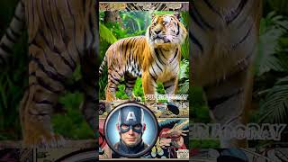 Superheroes but Tiger 💥 All Characters Marvel amp DC ✅️ marvel avengers shorts tiger [upl. by Wawro]