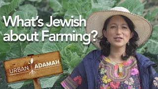 Whats Jewish About Farming A Tour of Urban Adamah [upl. by Schultz949]