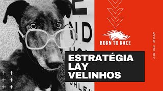 Corrida de Glagos Estratégia em LAY galgos velinhos [upl. by Pass232]