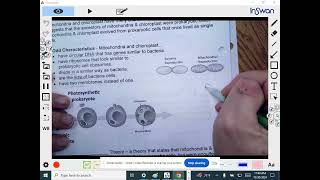 Honors Bio Cells Unit 3 Lecture 7 Endosymbiotic Theory Level 4 [upl. by Anilat755]