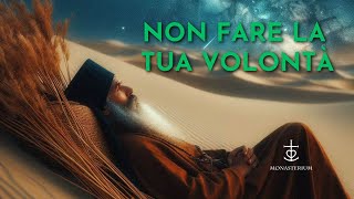 Non fare la propria volontà [upl. by Domonic]