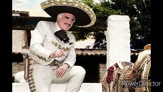 Mix Vicente Fernandez [upl. by Finbur]