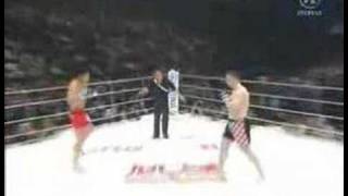 Mirko Cro Cop Filipović VS Tatsuya Mizuno [upl. by Leseil]