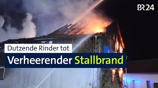 Stallbrand Dutzende Mastrinder tot und hoher Sachschaden  Abendschau  BR24 [upl. by Llerol]