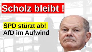 SPD stürzt ab Pistorius Merz Friedenspolitik BSW Sonntagsfrage Wahlumfrage Prognose AfD Gewinne [upl. by Krissie]