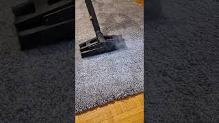 Teppichreinigung Carpet cleaning furniturecleaning carpetcleaning teppiche [upl. by Abate]