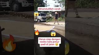 Tanggung resiko pak tani funnyvideo jemurpadi [upl. by Sirref]