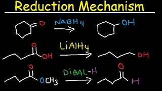 NaBH4 LiAlH4 DIBAL Reduction Mechanism Carboxylic Acid Acid Chloride Ester amp Ketones [upl. by Rumilly414]