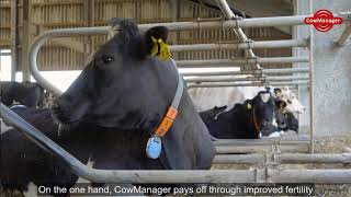 Benefits of CowManager Making Dairy Farming Easier [upl. by Aidas]