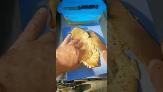 Cooking a Dryads Saddle Mushroom garden gardening mushroom foraging wildmushrooms [upl. by Goldia780]