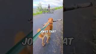 This Dog’s Big Stick Adventure Has Everyone Laughing 🐾😂shorts [upl. by Aihsirt]