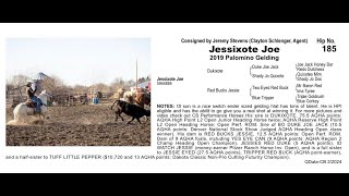 Pitzer Ranch Spring Sale 2024 Lot 185 JESSIXOTE JOE [upl. by Wojak]