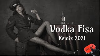 Vodka Fisa  Vadoka Bayan  Remix  Piotr Zylbert  🅿🅾🅻🅰🅽🅳 [upl. by Bancroft]