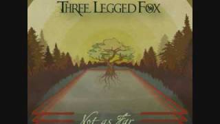 Three Legged Fox  Love Move a Mountain  ReggaeRock [upl. by Uliram]