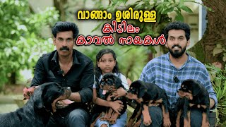 മാന്യമായ വിലയിൽ കാവൽ നായകൾ  Vickies greeny [upl. by Aicilaana]