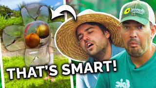 Gardeners React To Gardening Hacks ThatWork [upl. by Giefer144]