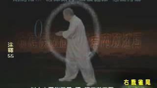 Instruction of managing energy in Tai Chi vol2  Master Wei ShuRen [upl. by Etteuqram800]