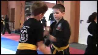 Kindertraining Kempo Karate [upl. by Yrome57]