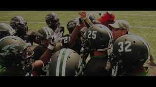 Stevenson Football 2013 Season Highlights [upl. by Ventura131]