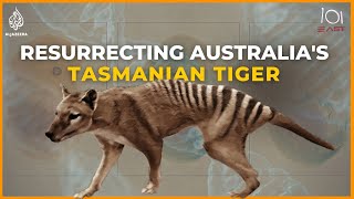 Back to life Inside the ambitious project to resurrect Australia’s Tasmanian tiger  101 East [upl. by Rheta]