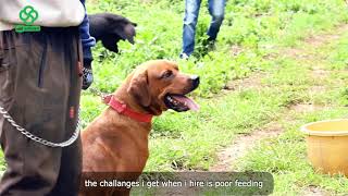 FROM PASSION TO PROFIT NICHOLAS MUGULO TRANSFORMED DOG BREEDING INTO A THRIVING BUSINESS IN AFRICA [upl. by Ylrac]