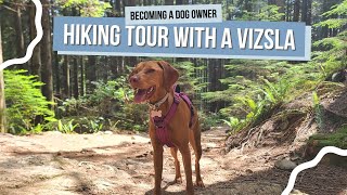 Let’s Go On A Hike With Willa  Unleashing the Great Outdoors in West Vancouver BC Canada [upl. by Weslee]