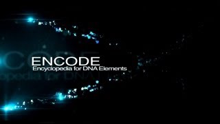 ENCODE The Encyclopedia of DNA Elements [upl. by Ezitram284]