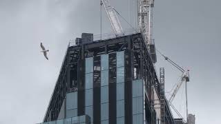 1 Leadenhall Street London England UK June 22 2024 [upl. by Ryon769]