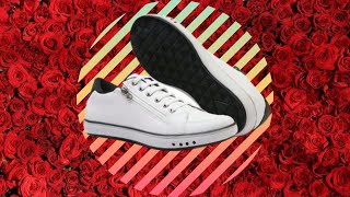 Sapatênis Masculino Casual Sneaker com Zíper Lateral e Palmilha Confort [upl. by Zia]