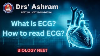 What is ECG How to read ECG Biology NEET [upl. by Enileve]