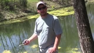 DIY Pond Aerator Using Septic Pump [upl. by Frankel]