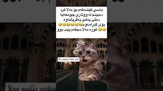 مەلا گیان قەرارمان وا نەبوو😂😂 [upl. by Parnell363]