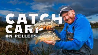 Catch Carp on Pellets Mainline Match Fishing TV [upl. by Htiekram602]