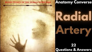 Radial Artery Anatomy 22 QampA [upl. by Brannon]