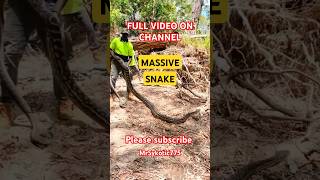 Monster Snake full video on channel [upl. by Torrlow]