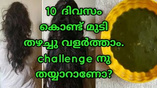 കരുത്തോടെ മുടി തഴച്ചു വളരാൻ 10 ദിവസം10 Days hair growth challengeMalayalam [upl. by Adirem]