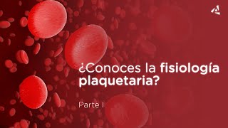 🚀 ¿Conoces la fisiología plaquetaria  primera parte [upl. by Rahman808]