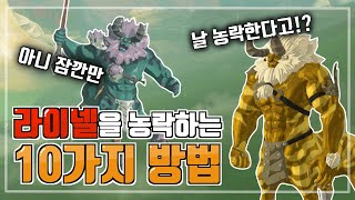 라이넬을 농락하는 10가지 방법 젤다 야숨 [upl. by Slyke756]