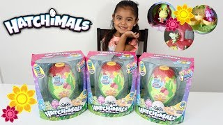 Hatchimals CollEGGtibles secret scene playset ALL 3 of them [upl. by Cl]