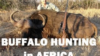 Hunting Buffalo in Africa with Mike Yardley [upl. by Arlena993]