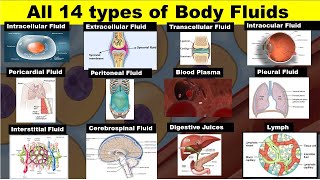 Body fluids  Extracellular fluid  Transcellular fluid  Interstitial Fluid  Dr Ghanshyam Jangid [upl. by Froemming]