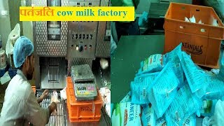 पतंजलि दूध और पनीर पैकिंग patanjali cow milk factory [upl. by Quintana]